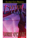 Imagen de portada para After Dusk
